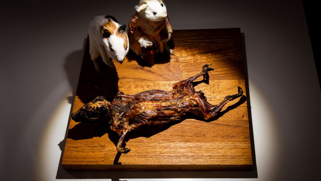 <strong>Guinea pig: </strong>The museum's founder, Dr. Samuel West, brings up guinea pig as an example of a food that is seen as delicious by some and controversial by others.
