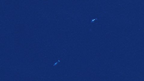 DigitalGlobe satellite imagery shows a pair of gray whales off the coast of Mexico.
