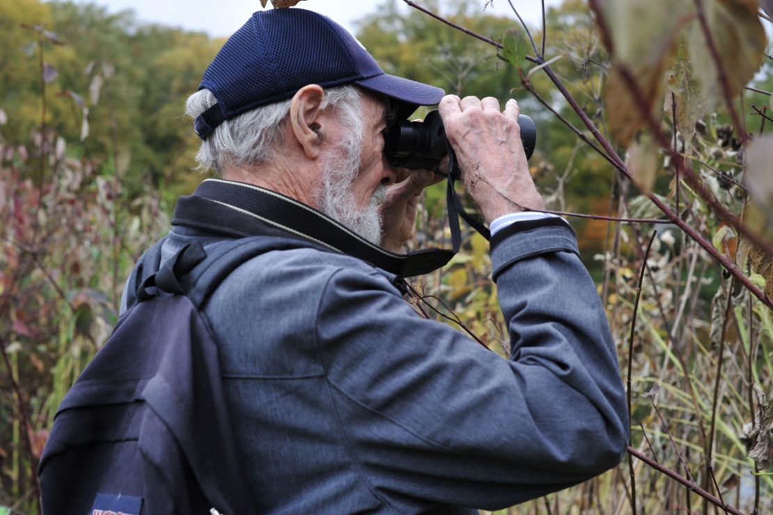 Mike Ritchie of Queens watches as Central Park's Mandarin duck emerges from the foliage on the far side of the park's Turtle Pond. 