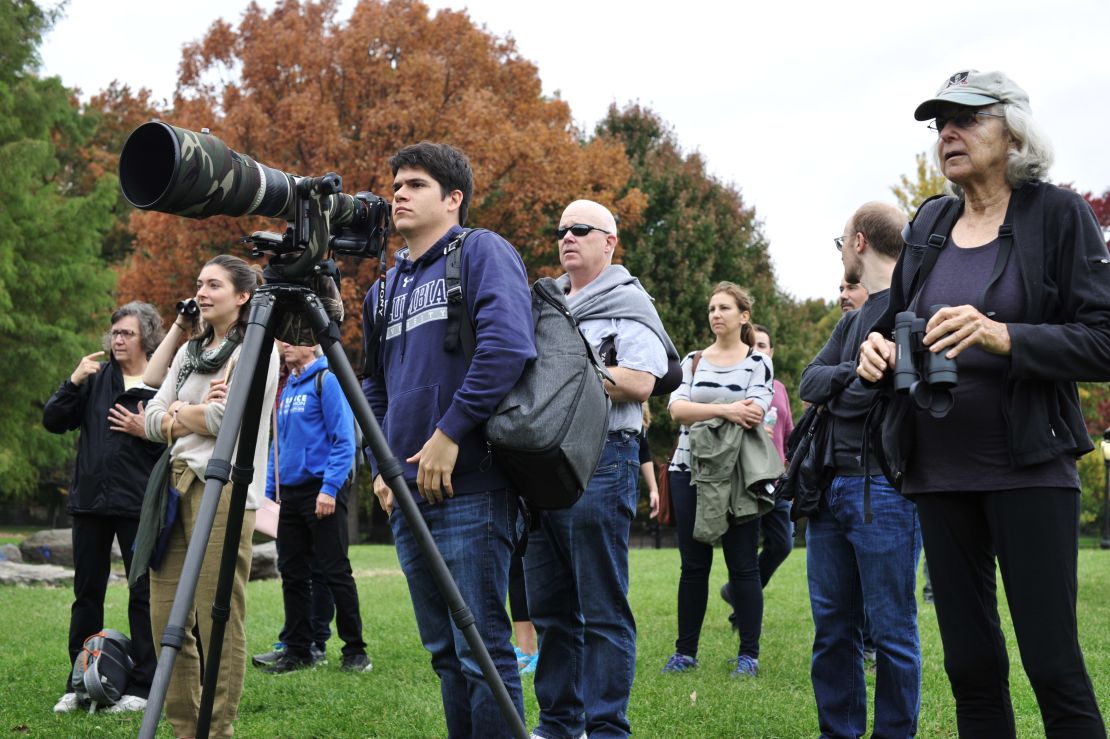 Birdwatchers line Central Park's Turtle Pond in New York City Friday for a glimpse of the bird.