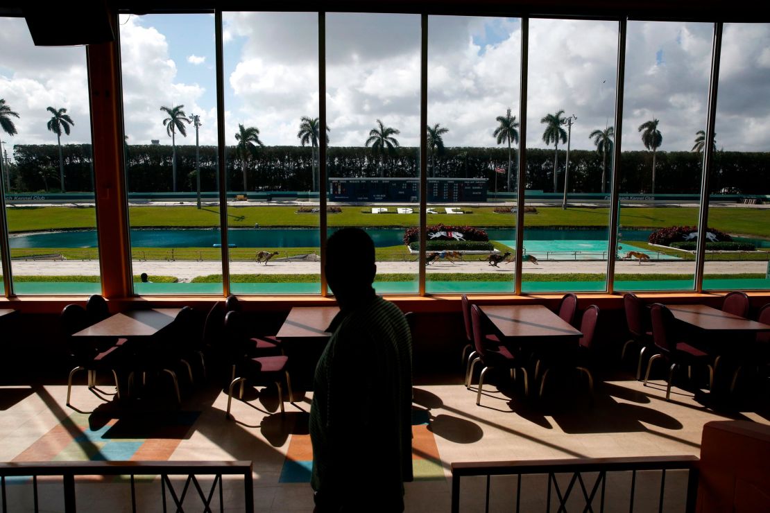 Greyhounds race at the Palm Beach Kennel Club in West Palm Beach, Florida.