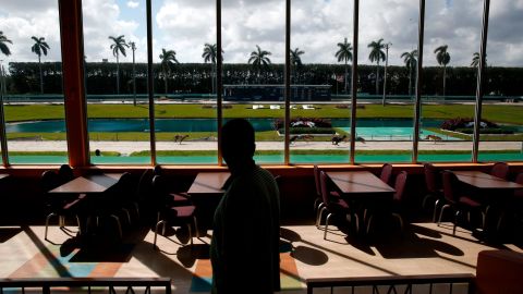 Greyhounds race at the Palm Beach Kennel Club in West Palm Beach, Florida.