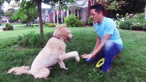 Kevin Yu plays with his dog three years after IBS sent him to the ER. 