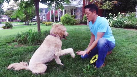 Kevin Yu plays with his dog three years after IBS sent him to the ER.