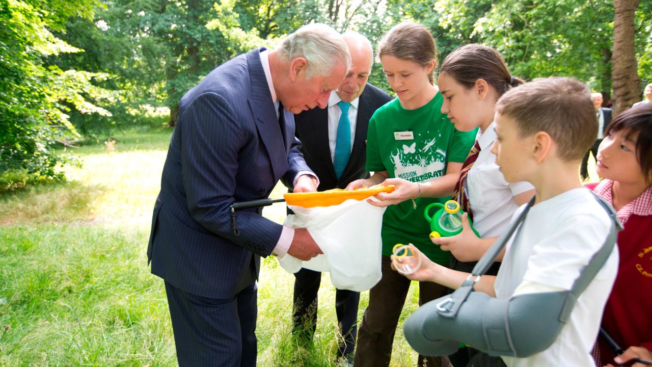 Charles inspects insects with students as he launches a new charity last year in London's Hyde Park. 