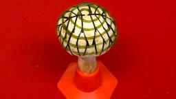 A white button mushroom equipped with 3D- printed graphene nanoribbons (black), which collects electricity generated by densely packed 3D-printed cyanobacteria (green) Credit: Sudeep Joshi, Stevens Institute of Technology.