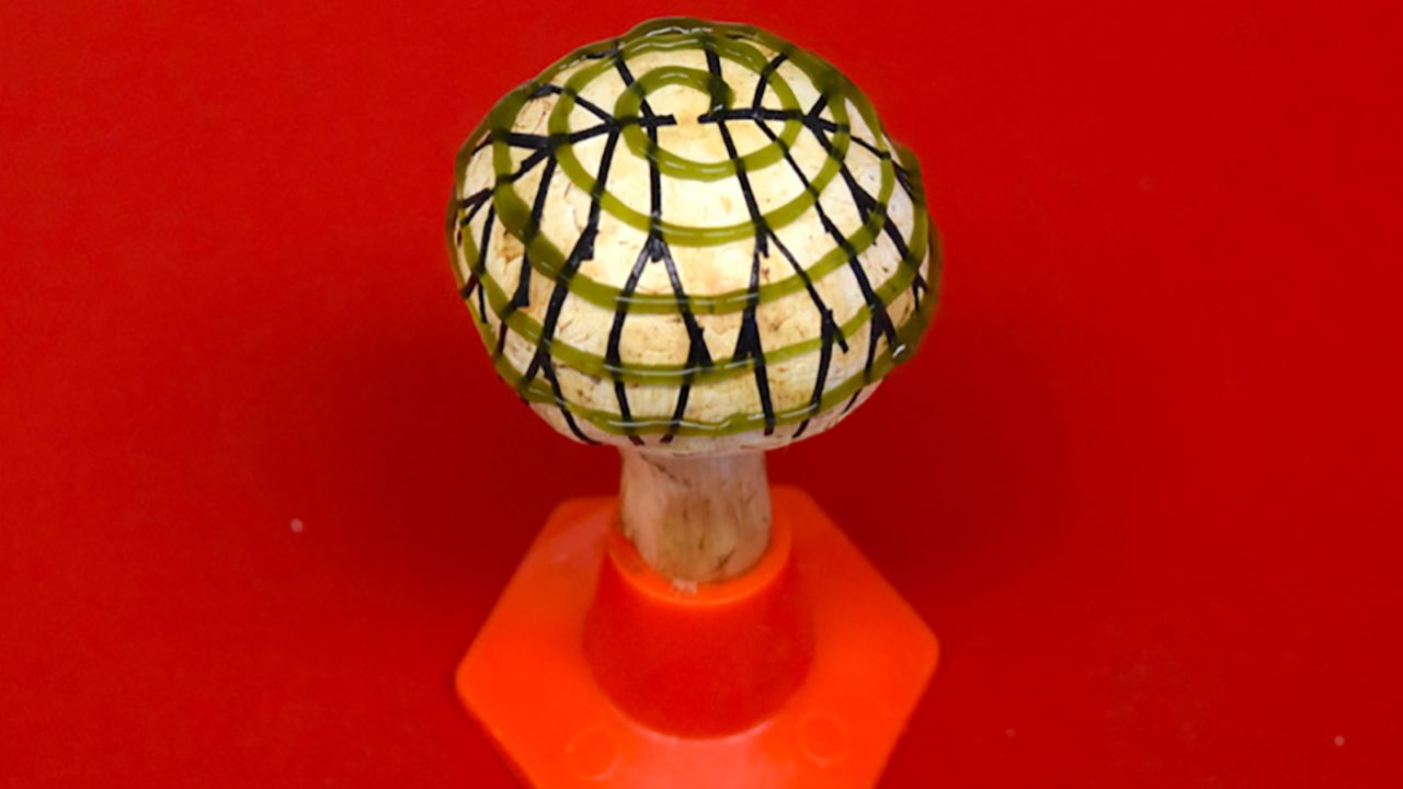 The mushroom is covered with clusters of cyanobacteria and an electrode network.