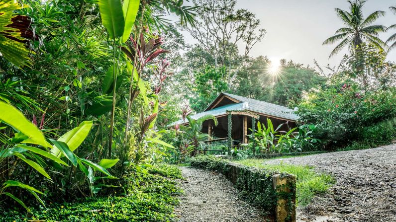 <strong>Drake Bay Getaway Resort:</strong> Located on the Osa Peninsula, home of the Corcovado National Park, at Drake Bay you can spot monkeys, sloths and tapirs in the wild. 