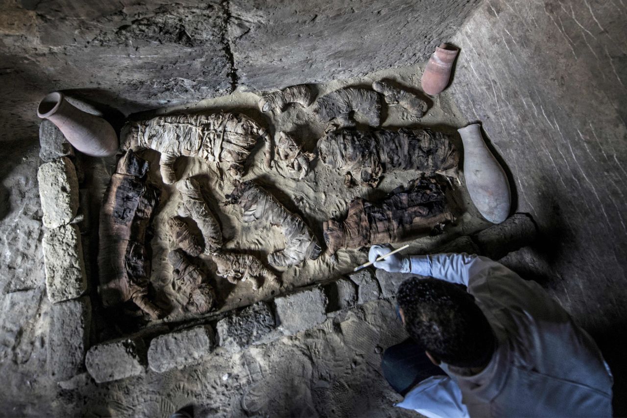 <strong>Cat mummies: </strong>In November 2018, an excavation revealed a mass cat cemetery and rare mummified scarab beetles in Saqqara, Egypt.