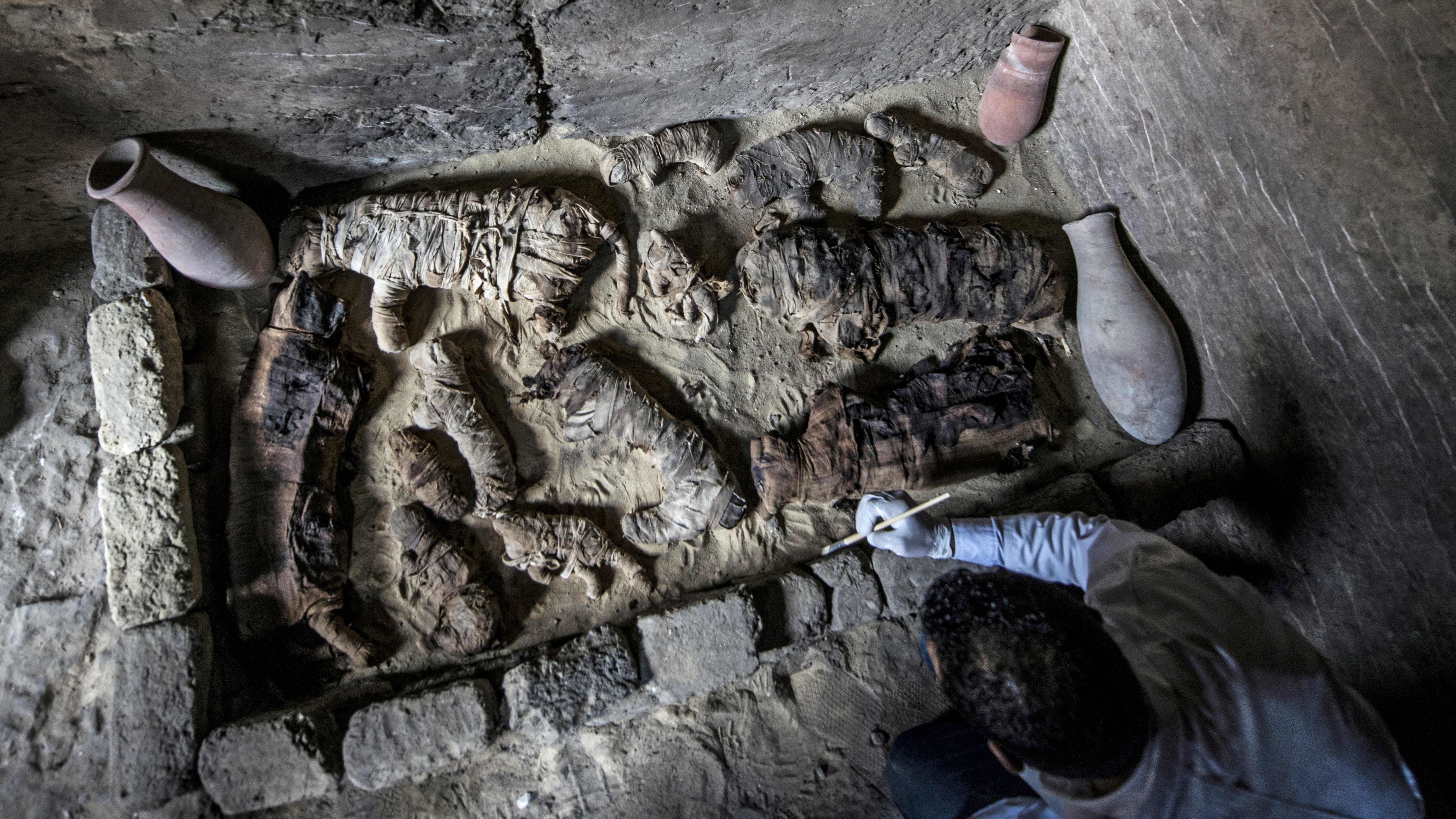 An archaeologist cleans mummified cats discovered south of Cairo by Egyptian archaeologists. 