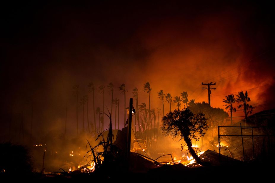 A row of palm trees stands as the Woolsey Fire continues to burn in Malibu on November 9.