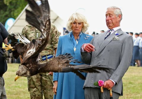 Charles and Camilla react as Zephyr, the  bald-eagle mascot of the Army Air Corps, flaps his wings at the Sandringham Flower Show in July 2015.