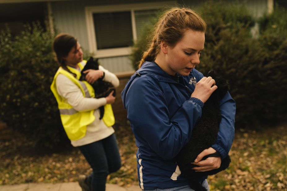 Samantha Esau and Emily Garcia take in stray cats from an evacuated Paradise home on November 12.