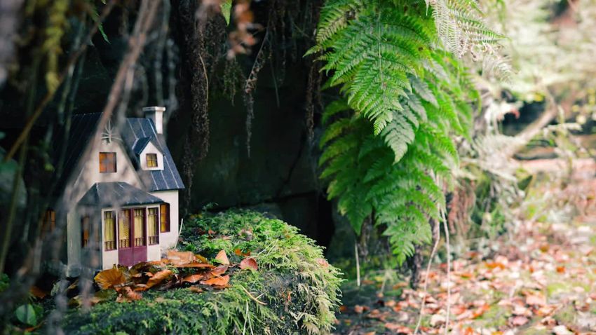 tiny fairy houses isle of man uk newsource orig _00001502.jpg