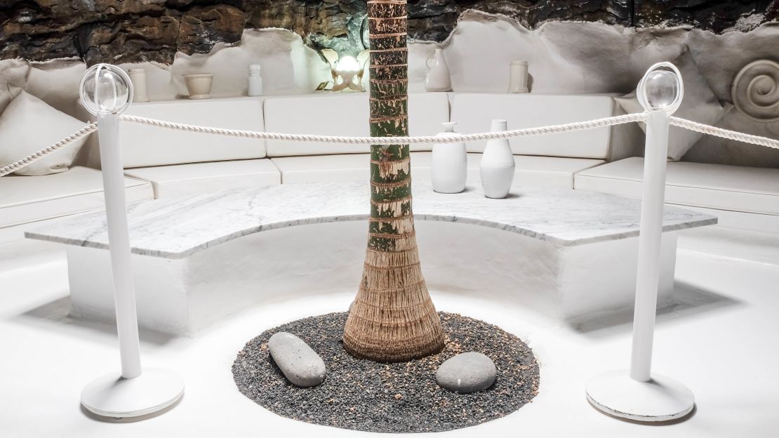 Chill-out spaces: A tree sprouts in the center of a relaxation room. 
