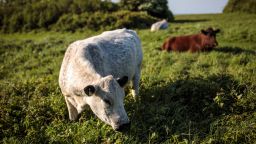 Lamb, beef and dairy production accounts for the majority of greenhouse gases emitted by farms in Britain.