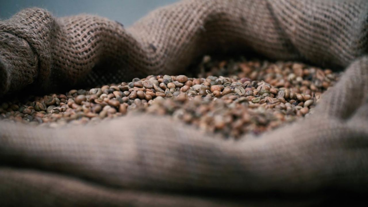 Ivory Coast Coffee