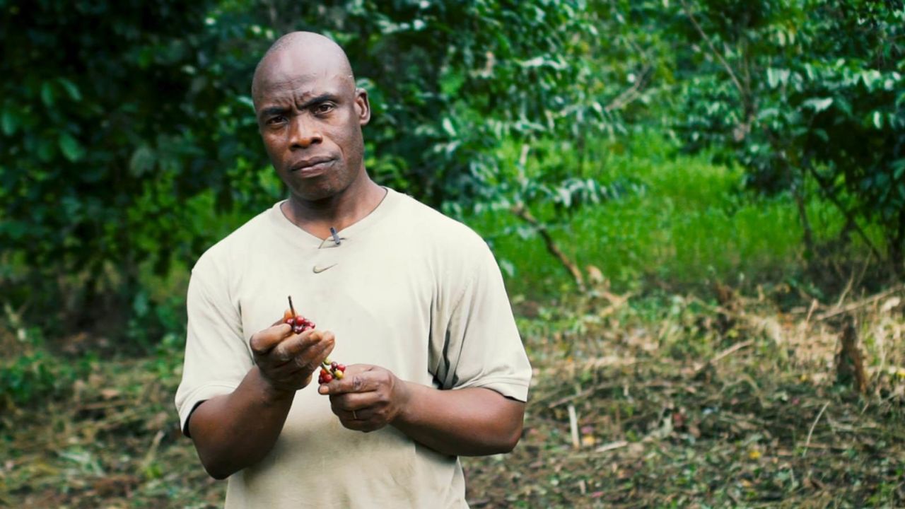 Ivory Coast Coffee