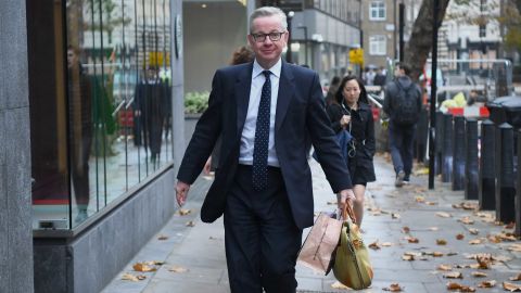 Michael Gove has publicly backed May.