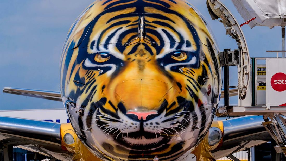<strong>Tiger livery:</strong> There's also a tiger-themed plane, seen here at the Singapore Airshow. 