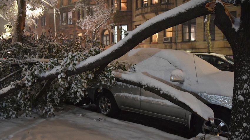 A tree collapsed on top of a parked car in Manhattan on November 15, 2018 in New York. - The National Weather Service is predicting snowfall totals of 2 to 4 inches in New York City. (Photo by Angela Weiss / AFP)        (Photo credit should read ANGELA WEISS/AFP/Getty Images)