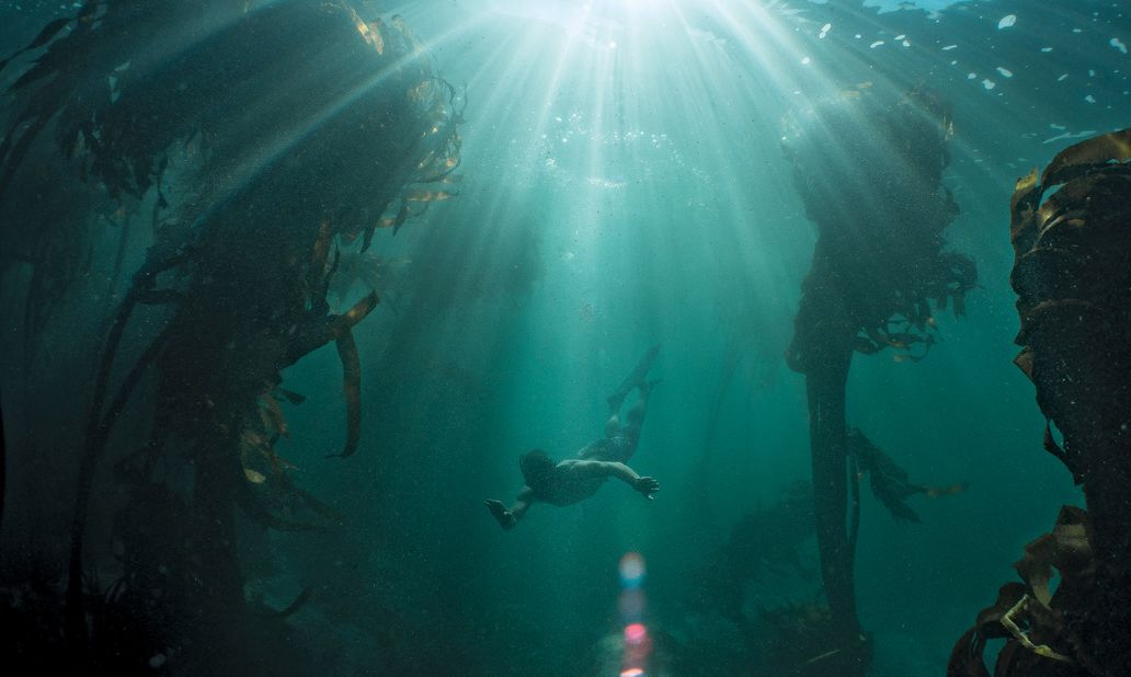 Both Frylinck and Foster hope the book will allow others to access this magical world and understand how it has changed their lives. "It feels like we've stumbled across another Great Barrier Reef and we want to tell the world," said Frylinck. 