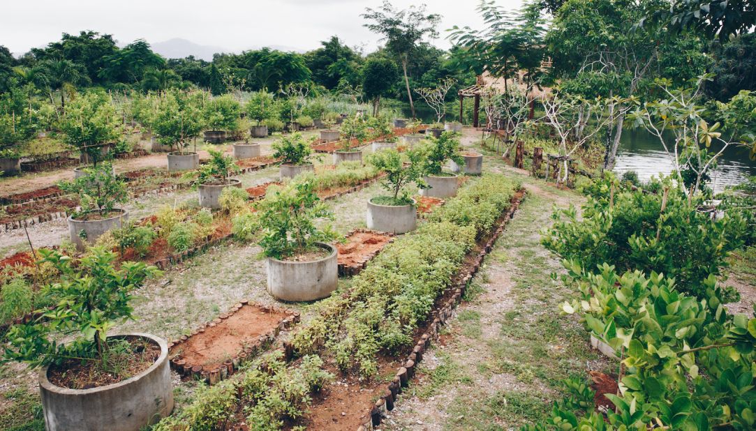 <strong>Pru Jampa:</strong> Many of Pru's sustainable, organic ingredients are pulled from the resort's 16,000 square meter farm, called "Pru Jampa," located in the northeast of Phuket. 