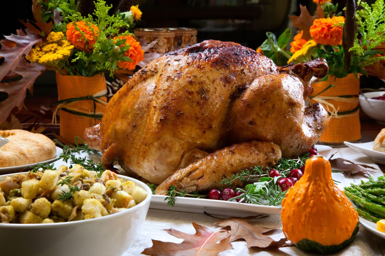02 Thanksgiving STOCK turkey