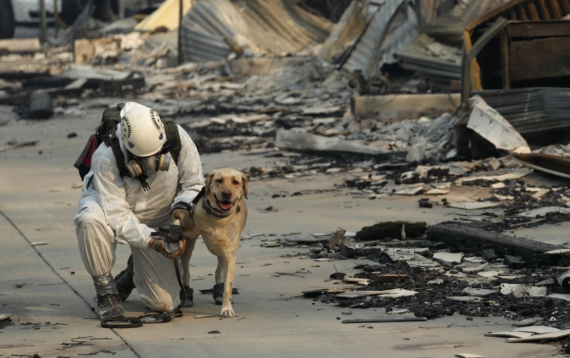 A search and rescue worker tends to his dog while looking for human remains in the Camp Fire. 