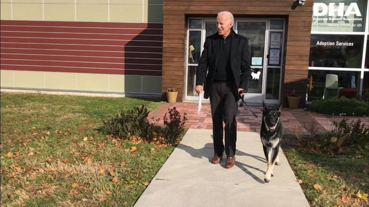 Former Vice President Joe Biden adopts a dog at the Delaware Human Association in Wilmington on Saturday, November 17.