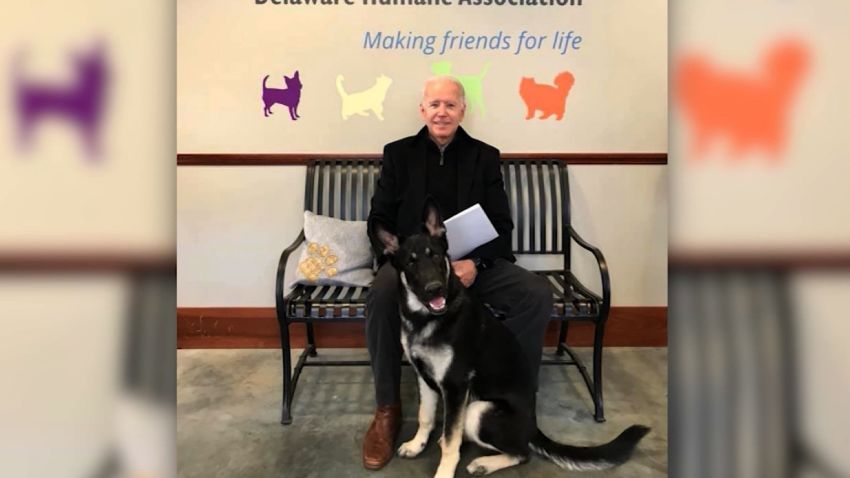 joe biden adopts rescue dog named major orig ec_00000923