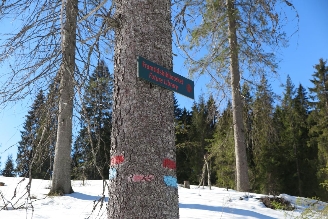 The forest is a 30-minute hike away from the northernmost stop of the Oslo metro.