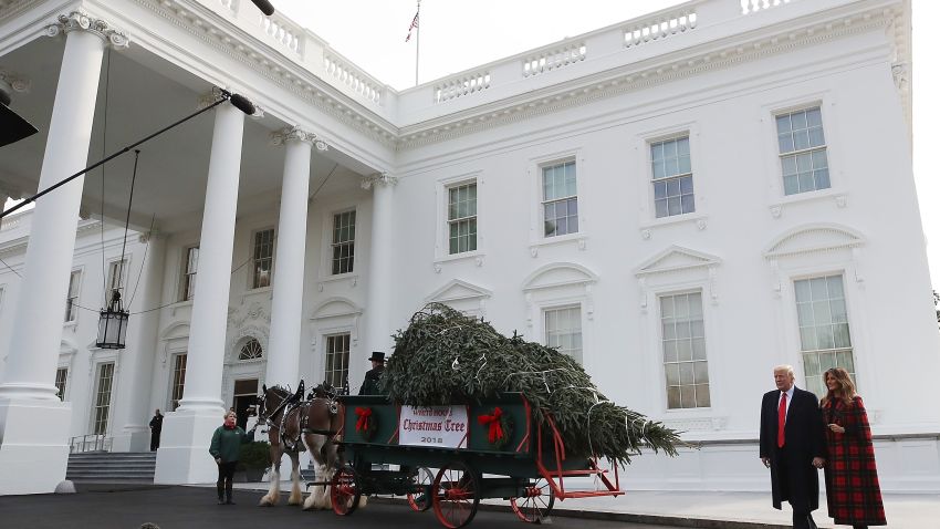 WASHINGTON, DC - NOVEMBER 19:  U.S. President Donald Trump and first lady Melania Trump attend the arrival of the North Carolina grown Fraser Fir Christmas tree at the North Portico as it makes its way to the Blue Room for display at the White House on November 19, 2018 in Washington, DC.  (Photo by Mark Wilson/Getty Images)