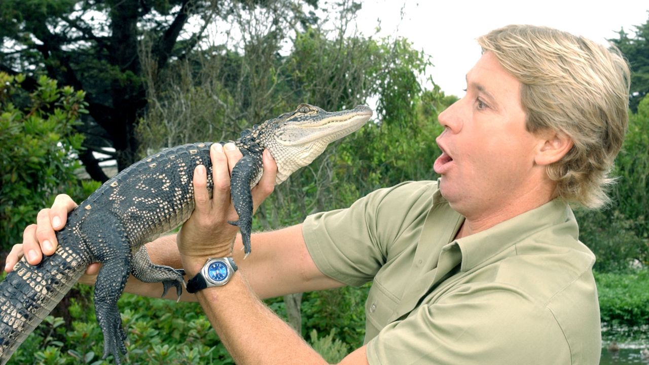 Steve Irwin, the TV personality known as the Crocodile Hunter, poses with a three foot long alligator at the San Francisco Zoo in June 2002.