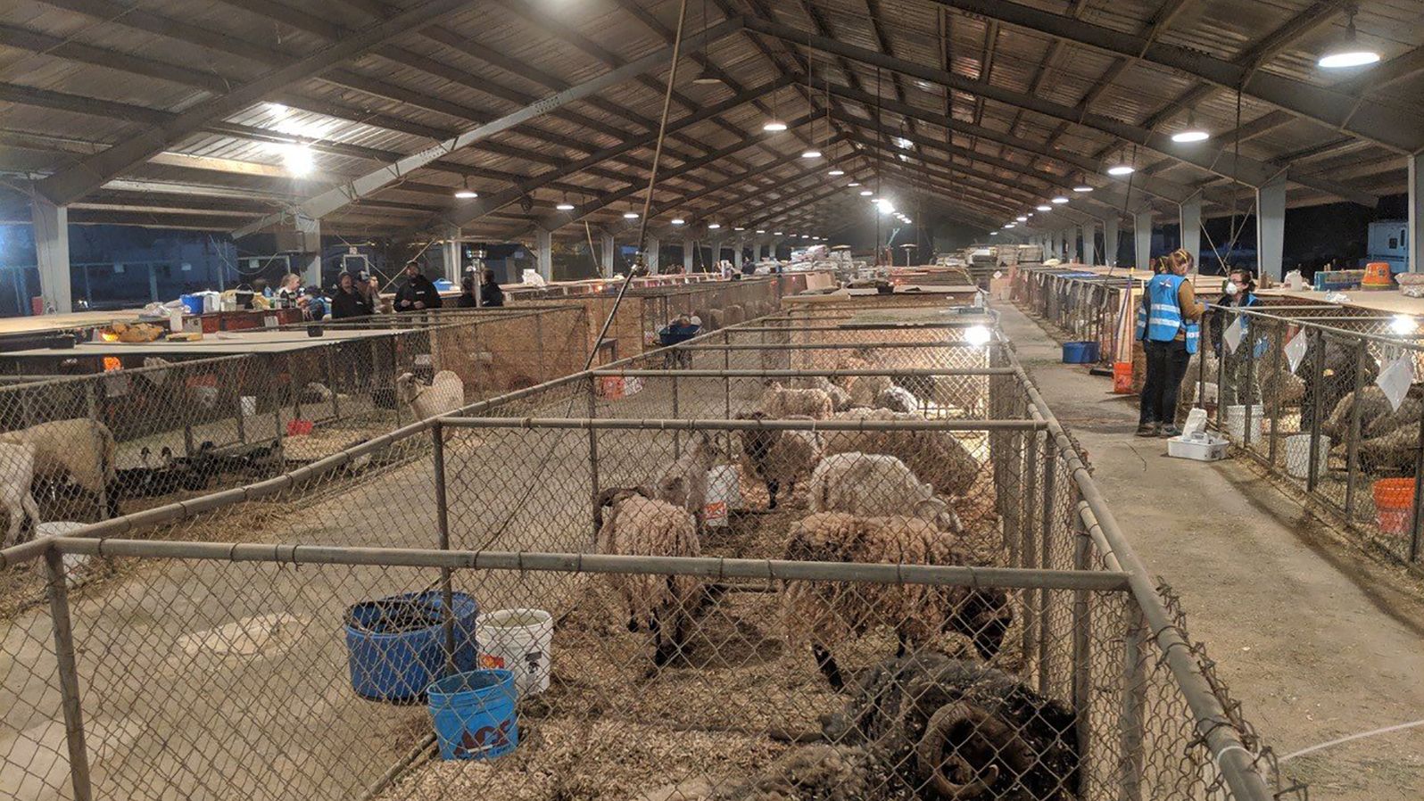North Vally Animal Disaster Group containment animal care area for evacuated and rescued animals from Paradise and Chico, California. 