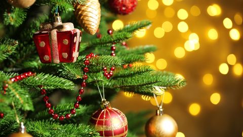 Decorated evergreen trees have roots that go back beyond the beginnings of Christianity to ancient Egypt and Rome.
