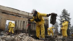 PARADISE, CALIFORNIA - NOVEMBER 21: Search and rescue crews dig through the burnt remains of a business as they search for human remains on November 21, 2018 in Paradise, California. Fueled by high winds and low humidity the Camp Fire ripped through the town of Paradise charring over 150,000 acres, killed at least 81 people and has destroyed over 18,000 homes and businesses. The fire is currently at 80 percent containment and hundreds of people still remain missing. (Photo by Justin Sullivan/Getty Images)