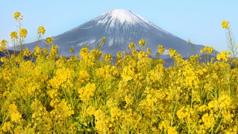 <strong>Mount Fuji: </strong>One of Japan's three sacred mountains and one of its most recognizable natural attractions, Mount Fuji is a popular hiking destination for pilgrims and travelers. Its seemingly symmetrical shape is an icon that has appeared on many postcards and artworks in Japan.