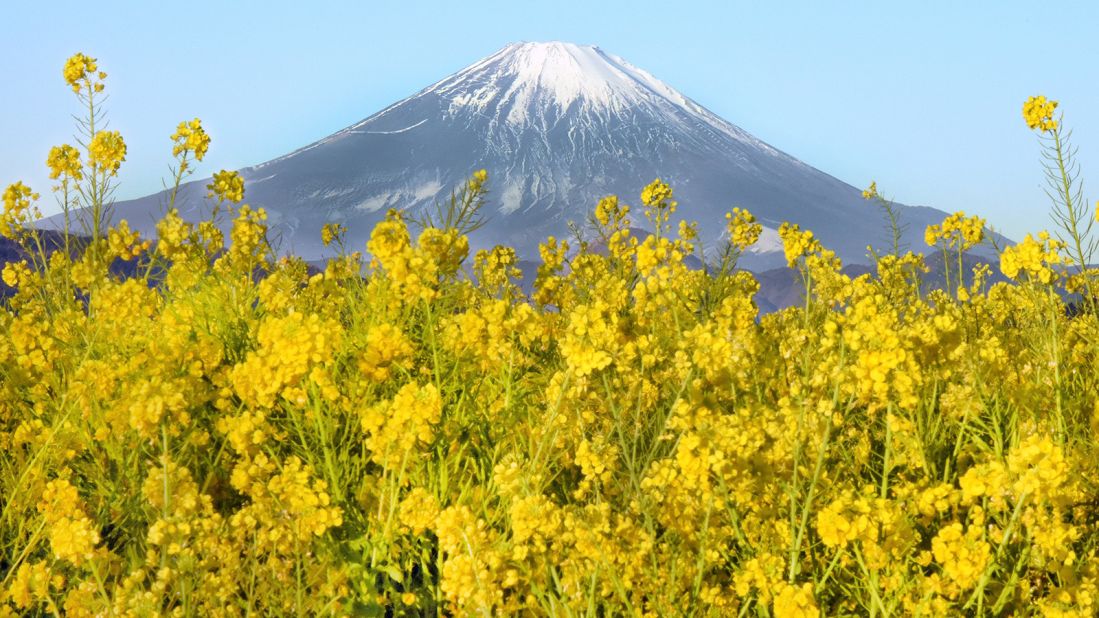 <strong>Mount Fuji: </strong>One of Japan's three sacred mountains and one of its most recognizable natural attractions, Mount Fuji is a popular hiking destination for pilgrims and travelers. Its seemingly symmetrical shape is an icon that has appeared on many postcards and artworks in Japan.
