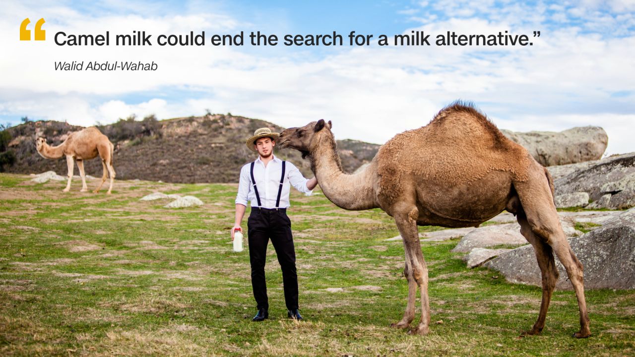 20181123-cow-camel-milk-quote