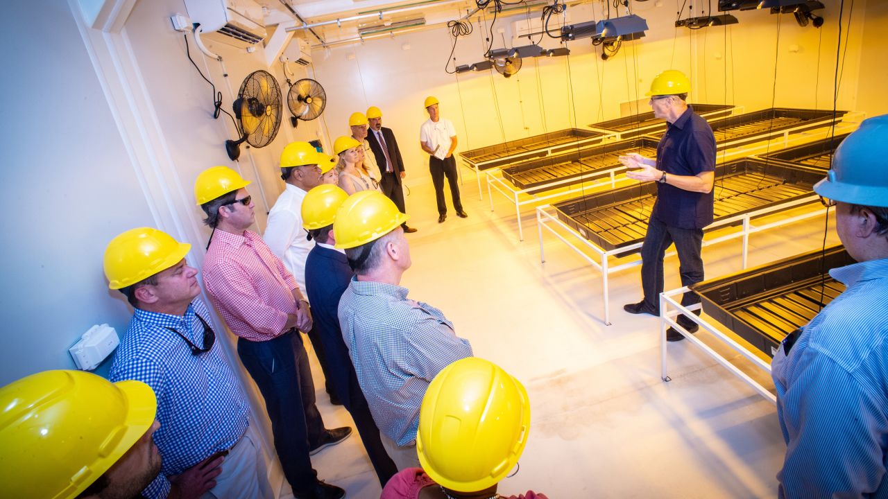 A tour takes place in one of GB Science's Baton Rouge grow rooms.