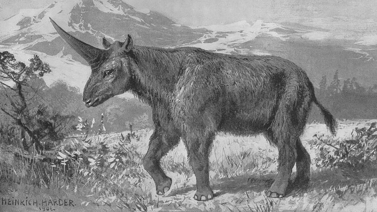 An illustration of Elasmotherium by Heinrich Harder, circa 1908.