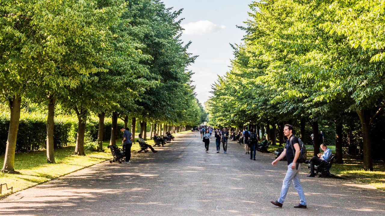In good weather, Regent's Park is one of the most popular parks in central London.