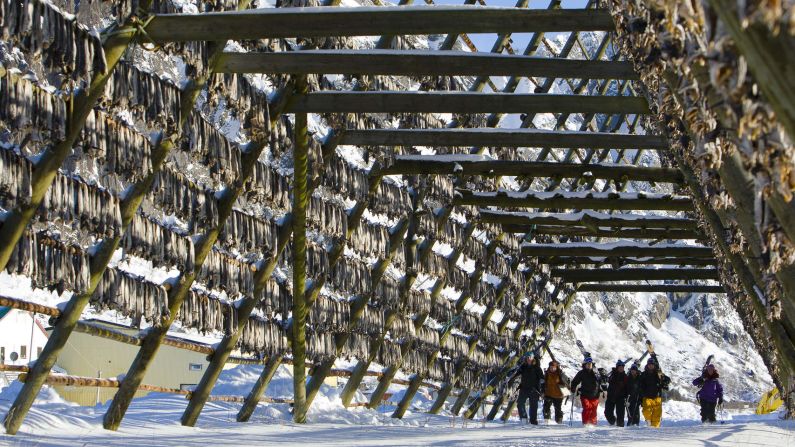 <strong>Local culture:</strong> Skiers walk under racks of fish drying at Lofoten Fishery.