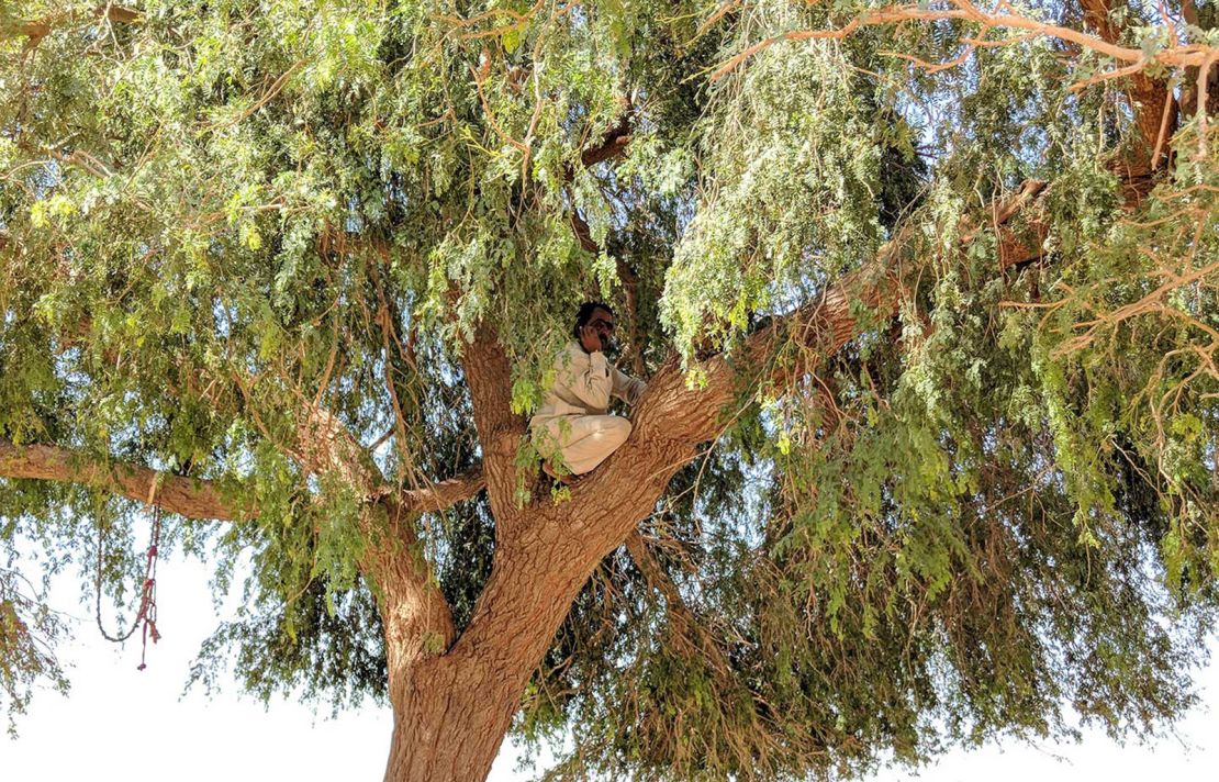 In unconnected villages, people like Sawal Singh need to climb a tree to get a signal.