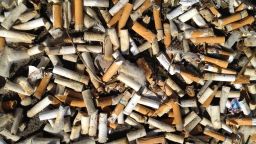Cigarette butts found during a beach cleanup in Oregon.