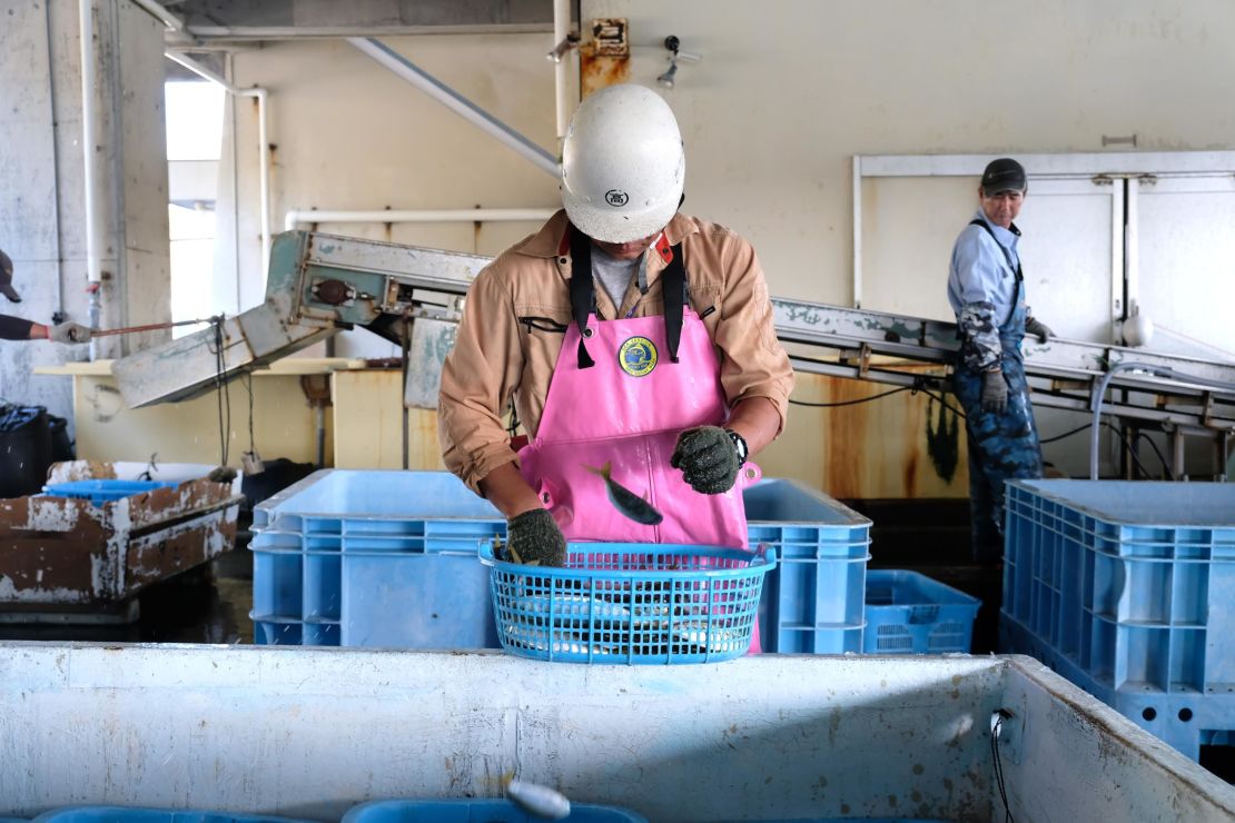 The new visa will allow blue collar workers to stay in Japan for up to five years.