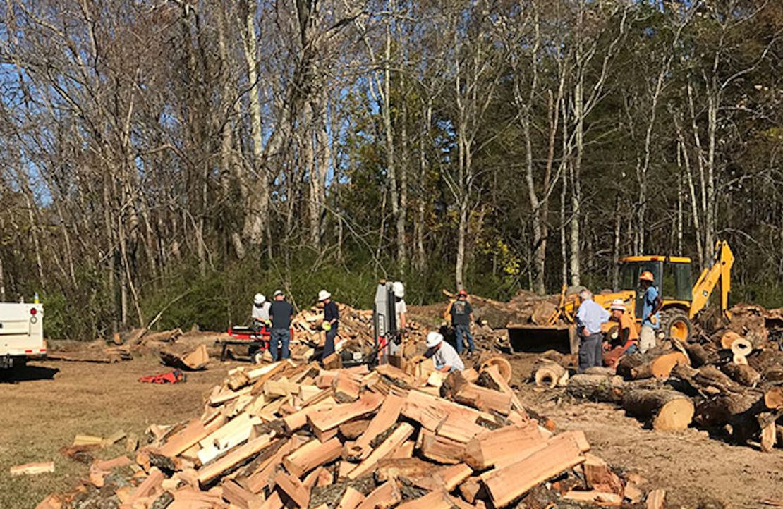 When a storm left this campus littered with fallen trees, students