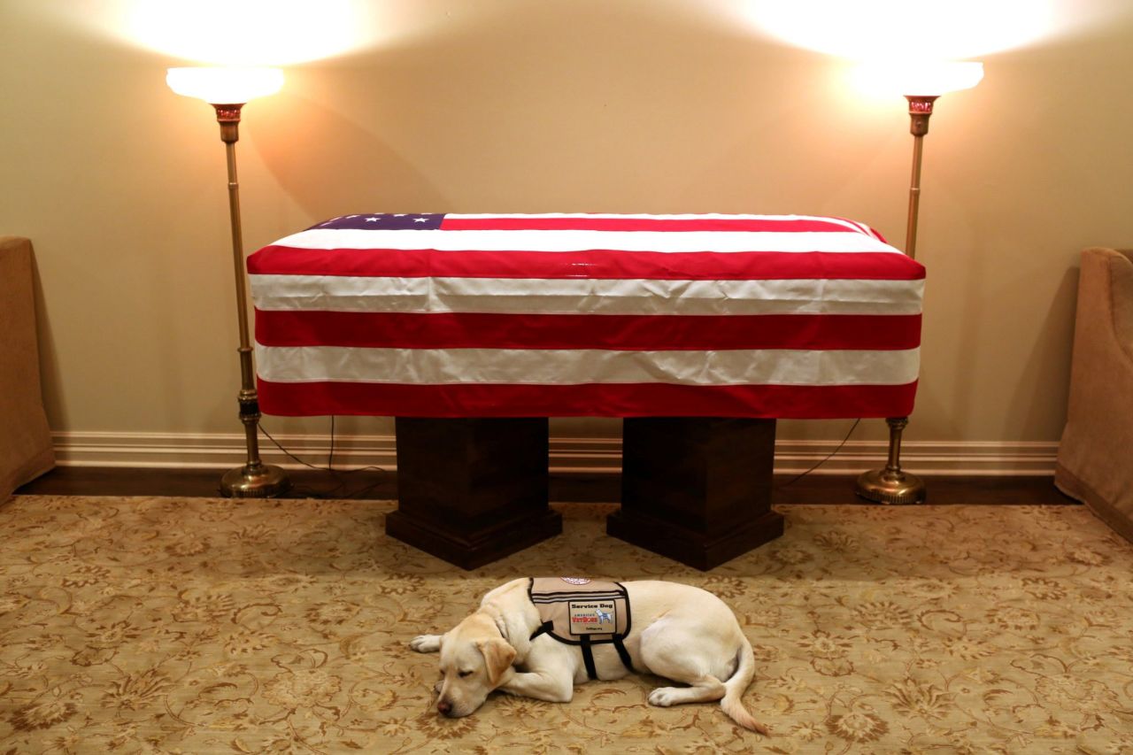 Bush's service dog, Sully, lies in front of Bush's casket at a Houston funeral home on December 3.
