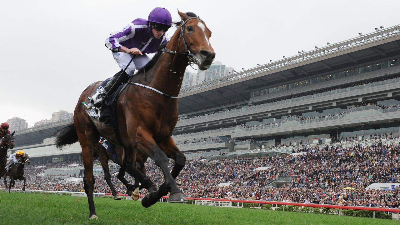 HONG KONG - DECEMBER 13:  Ryan Moore riding Highland Reel of United Kingdom winning Race 4, The Longines Hong Kong Vase during the Hong Kong International Races at Sha Tin racecourse on December 13, 2015 in Hong Kong, Hong Kong.  (Photo by Vince Caligiuri/Getty Images)